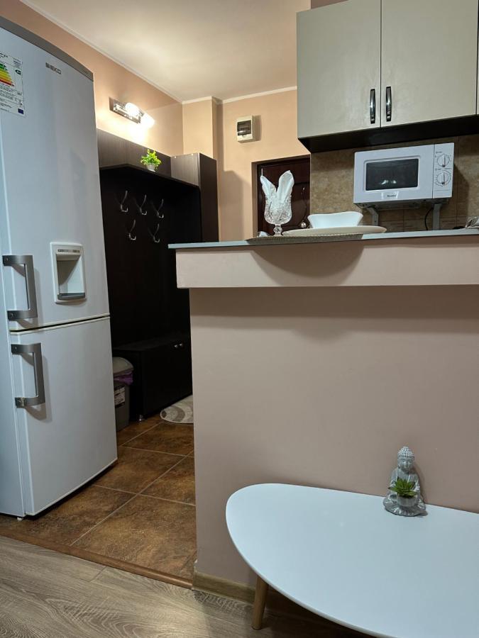 Cozy Apartament Galaţi Eksteriør bilde